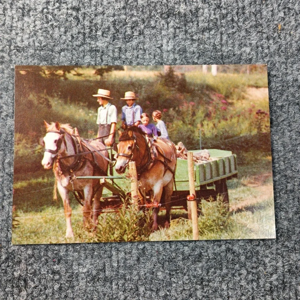 Amish Postcards Set of 3 Horse Buggy Farm Life John‎ M Zielinski Photography VTG